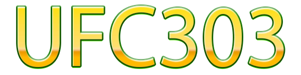 UFC303 Logo